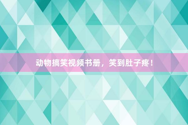 动物搞笑视频书册，笑到肚子疼！
